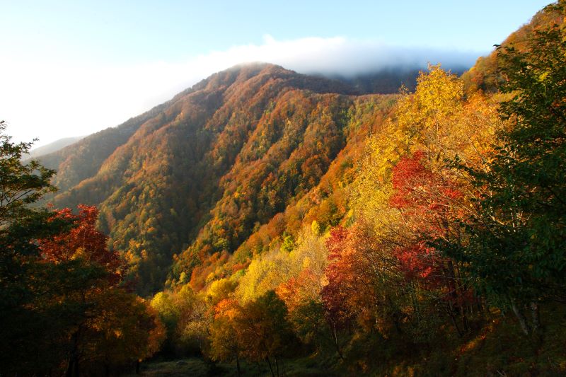Parco Nazionale delle Foreste Casentinesi